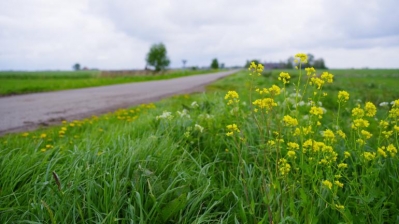 Bustochten langs oorlogsplaatsen